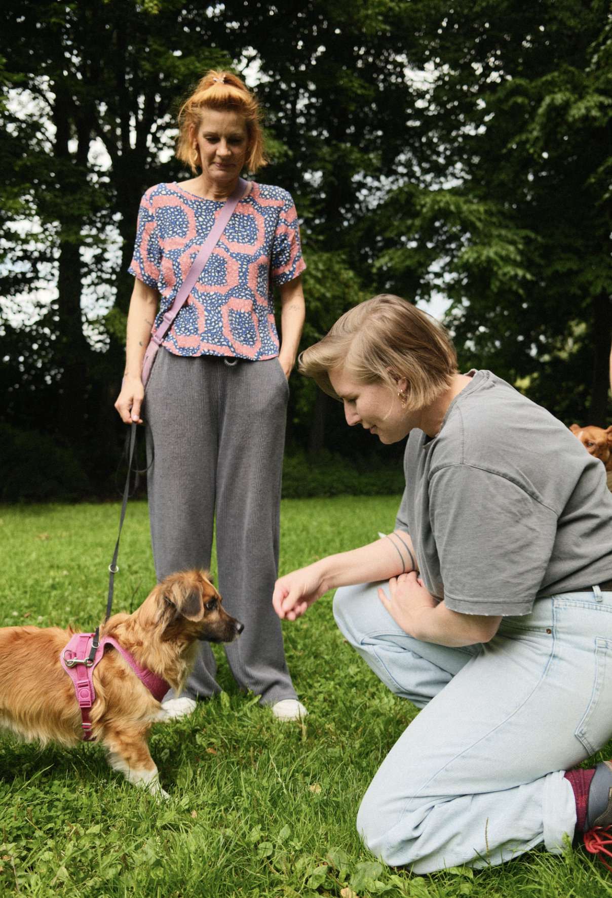 Ein Hund an der Leine bei seiner Besitzerin schnüffelt vorsichtig an der Hand der Trainerin, die vor ihm kniet.